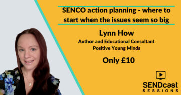 SENCO action planning with Lynn How
